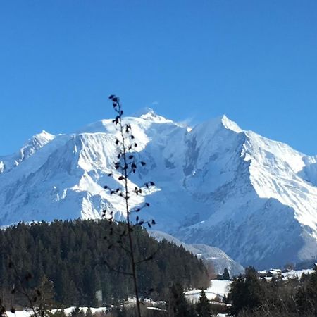 Les 4 Vallees Hotel Albertville Bagian luar foto