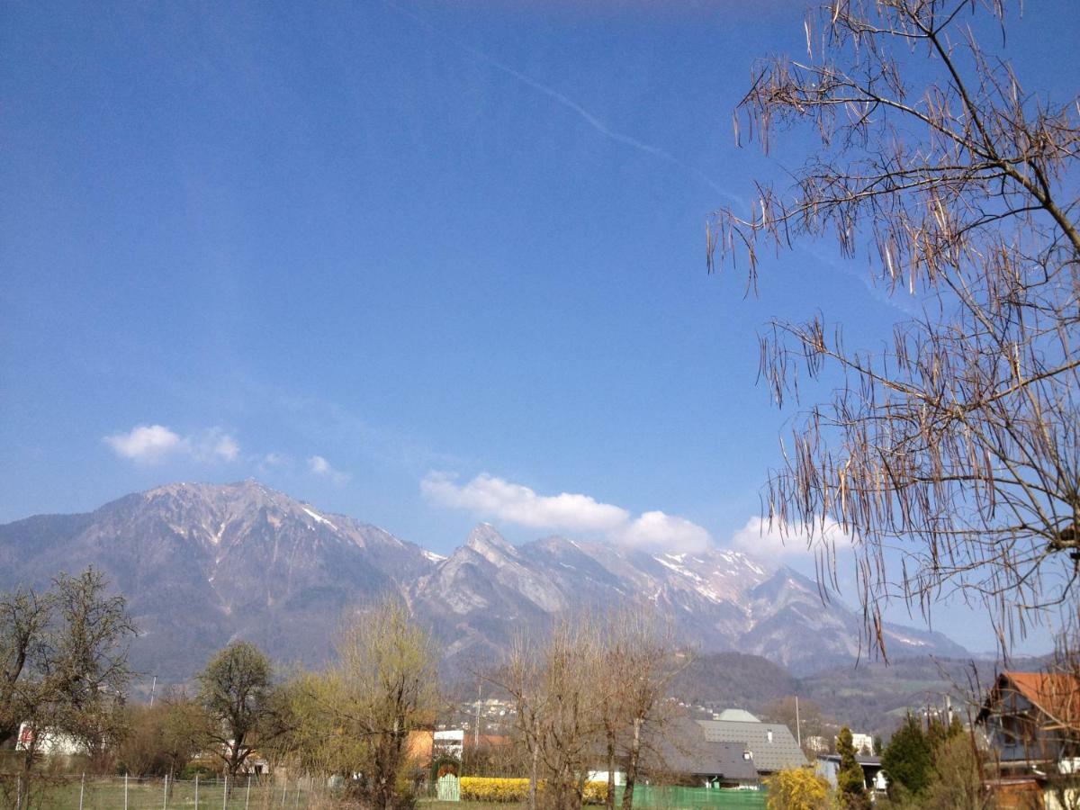 Les 4 Vallees Hotel Albertville Bagian luar foto